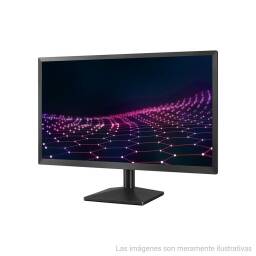 Monitor LCD / Variedad de marcas / 19" 